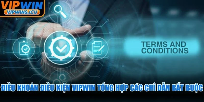 Điều khoản điều kiện VIPWIN tổng hợp các chỉ dẫn bắt buộc