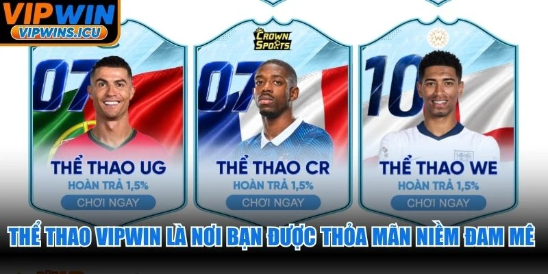 Thể thao VIPWIN là nơi bạn được thỏa mãn niềm đam mê bất tận